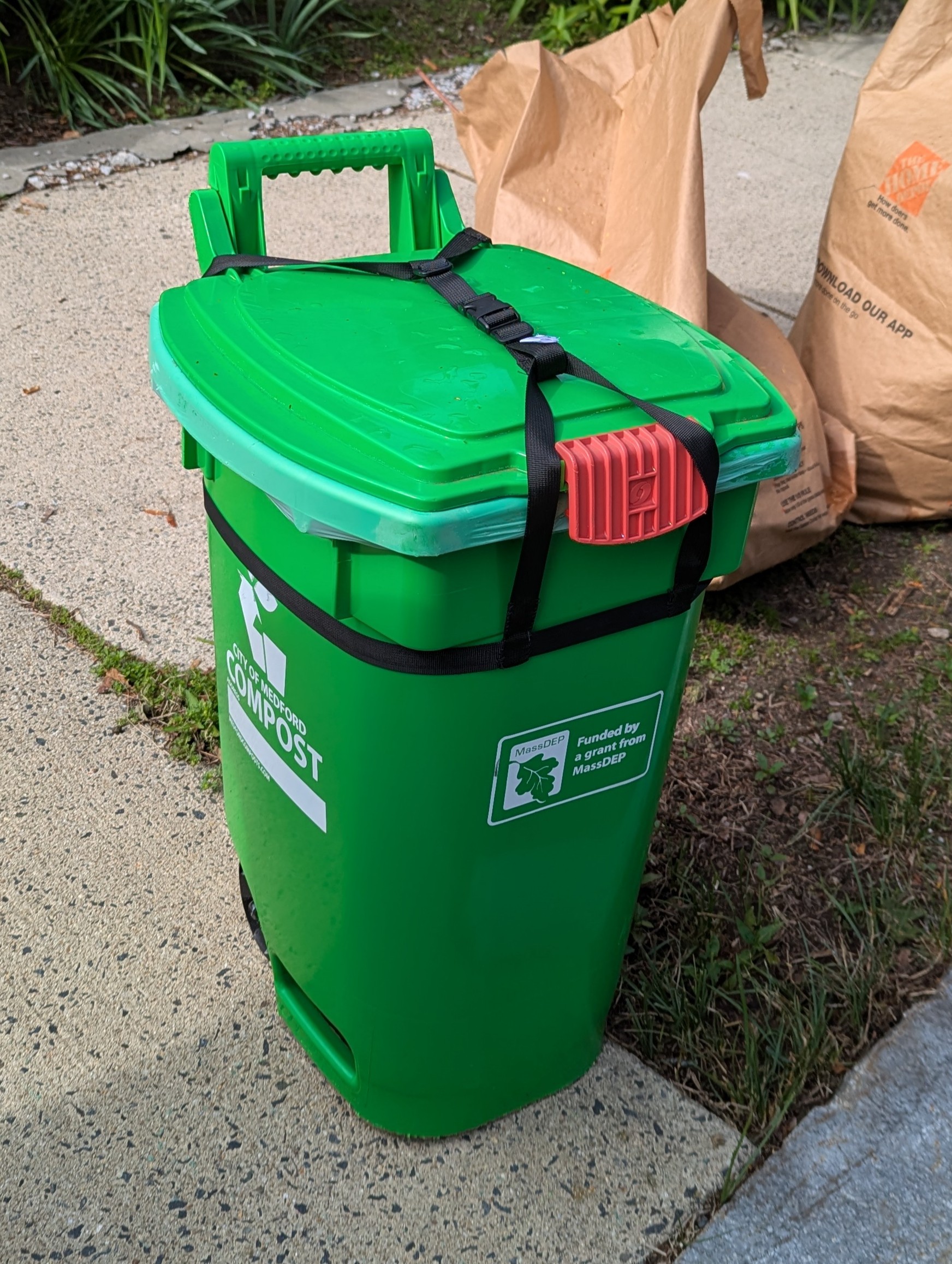 Rodent-Resistant Compost Bin Strap System: Green compost bin secured with black buckle strap system to prevent animal access