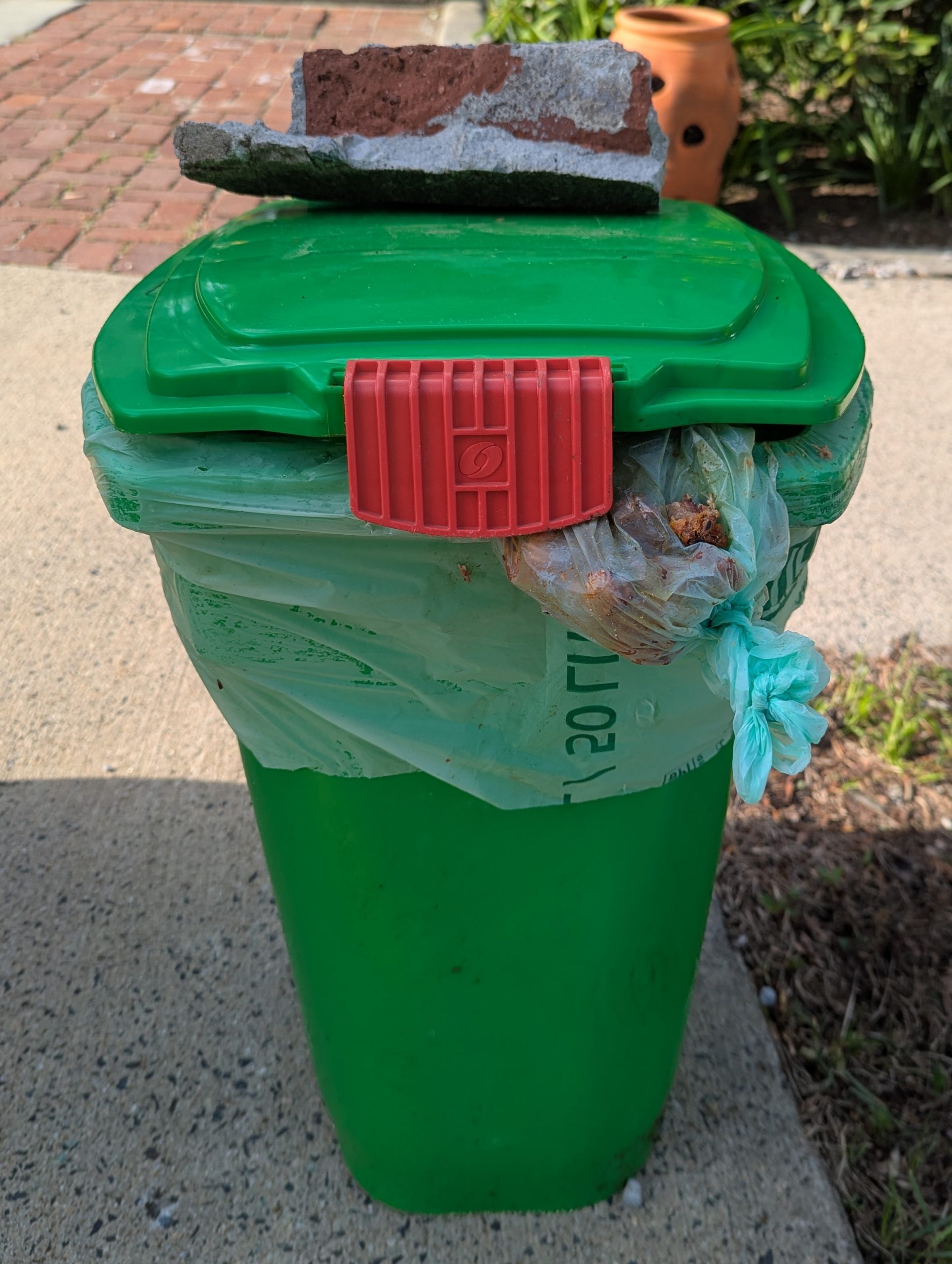 Green compost bin NOT secured with black buckle strap system to prevent animal access
