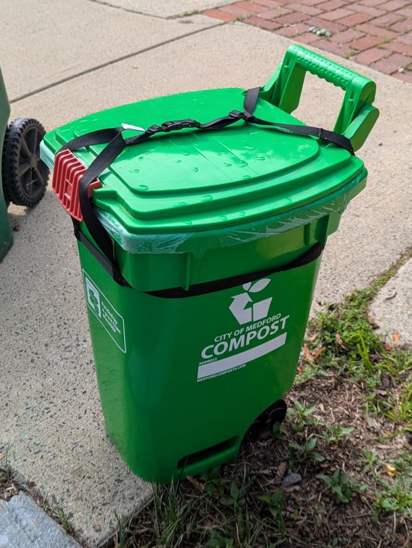 Rodent-Resistant Compost Bin Strap System: Green compost bin secured with black buckle strap system to prevent animal access