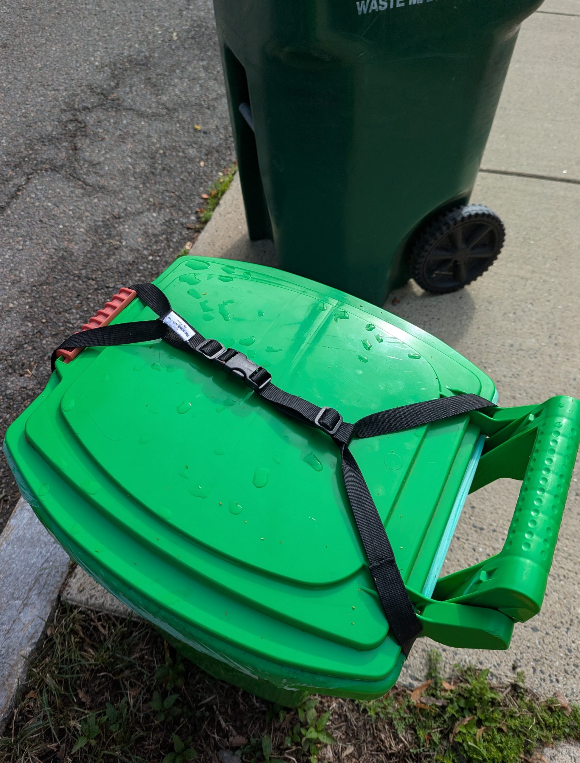 Rodent-Resistant Compost Bin Strap System: Green compost bin secured with black buckle strap system to prevent animal access